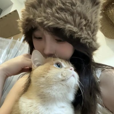 惊险的假期